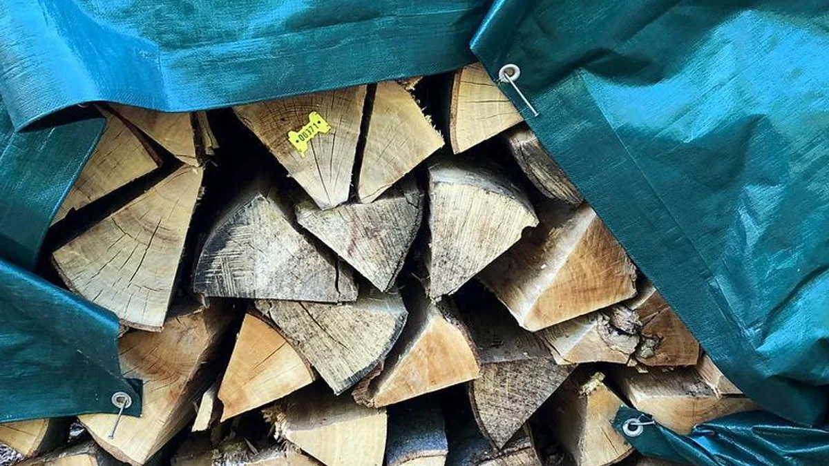 孩子睡前总担心，家长怎样陪？相关心理健康场景