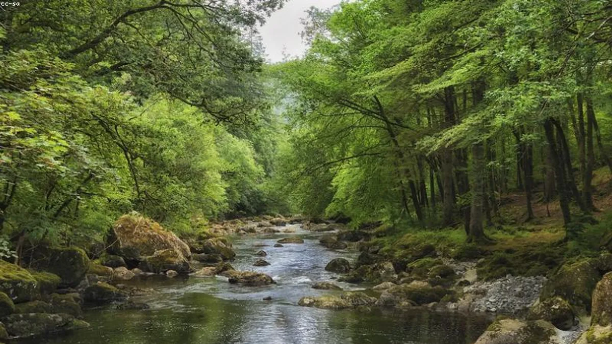 考试前焦虑到学不进去，计划怎么改？相关心理健康场景
