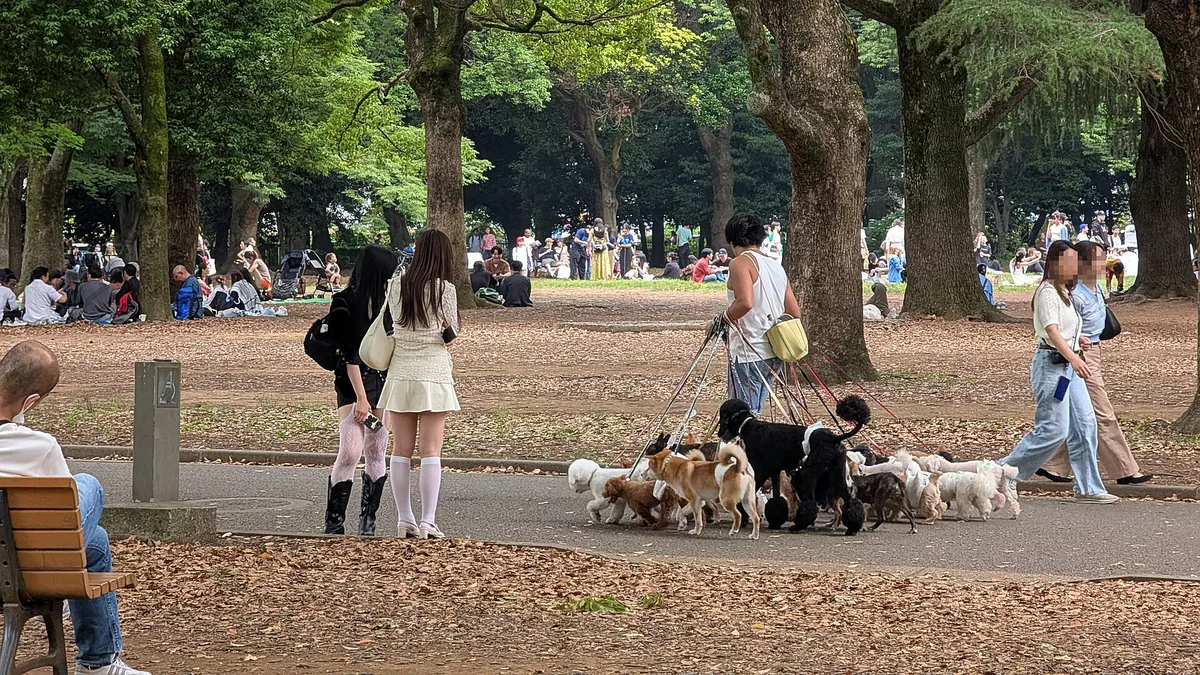 自我监控相关真实生活场景