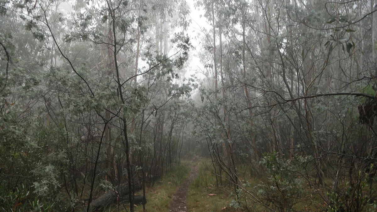 自我照顾实践中的日常调整场景