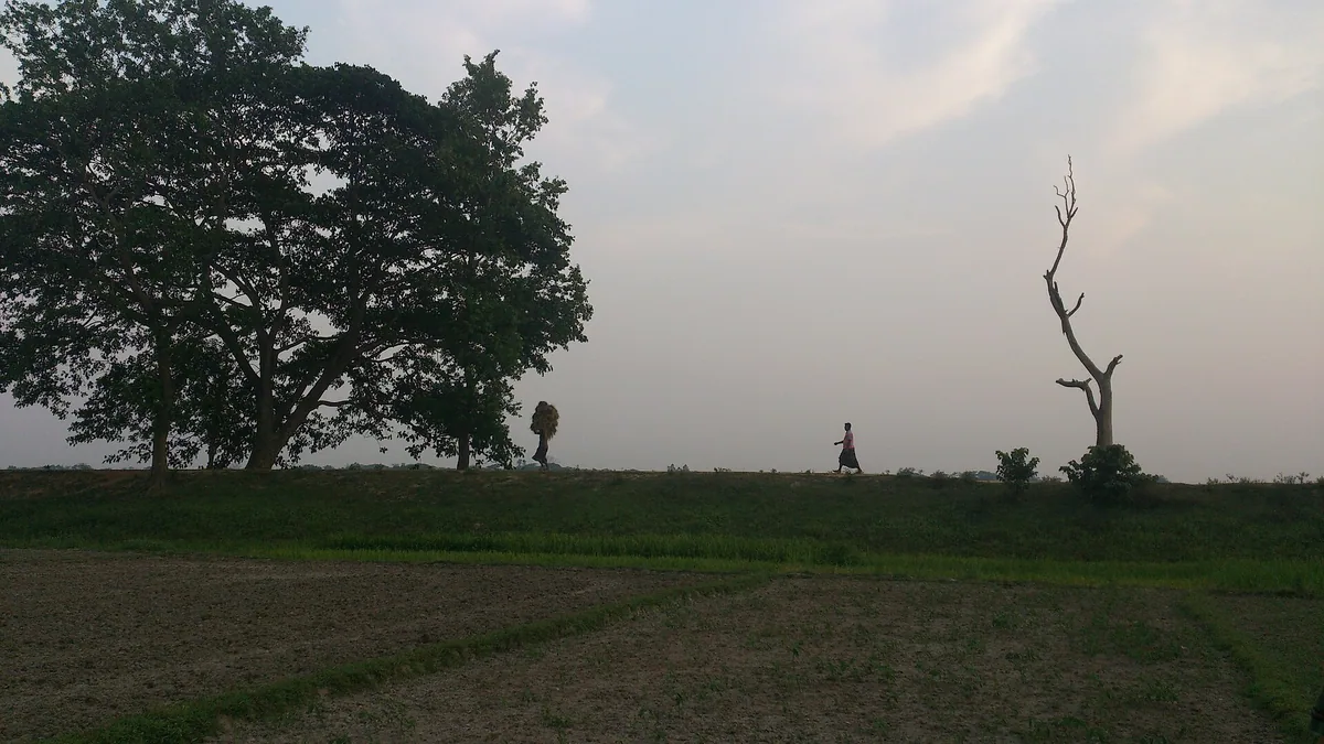 人生变化，心理支持，成就后空虚中的日常调整场景