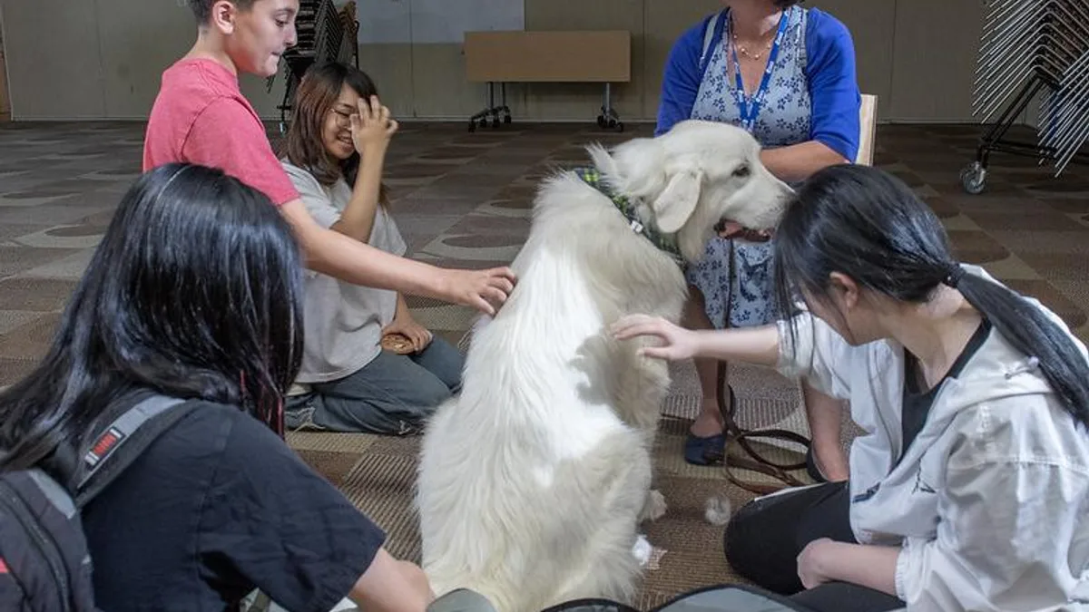 项目永远没做完的愧疚：区分拖延与完美主义的压力源相关心理健康场景