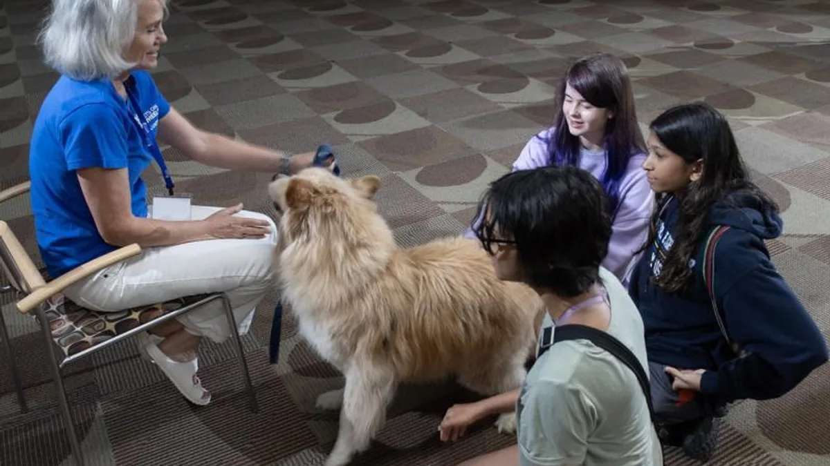 会议中不发言的心理博弈：理解职场沉默背后的生存智慧相关心理健康场景
