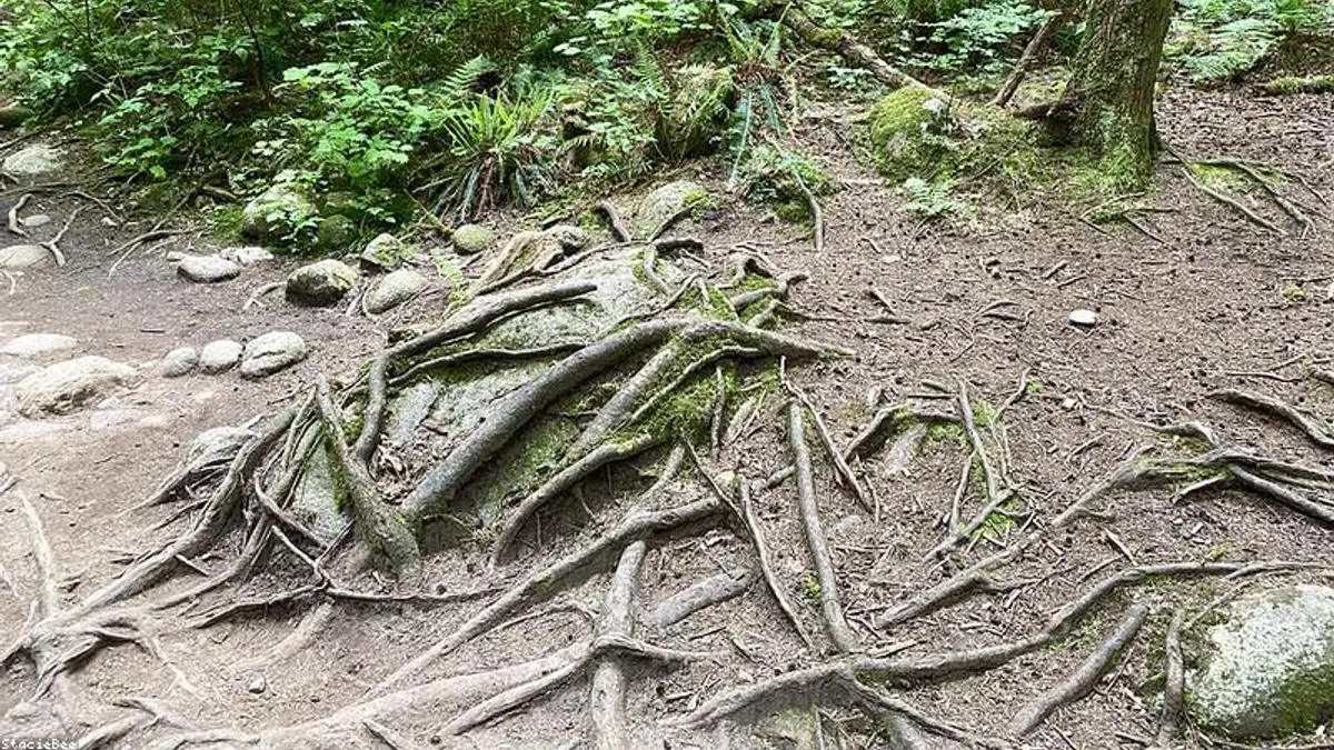 截止前心跳加速：从‘恐慌模式’切换到‘微小步骤’的生理调节法相关心理健康场景