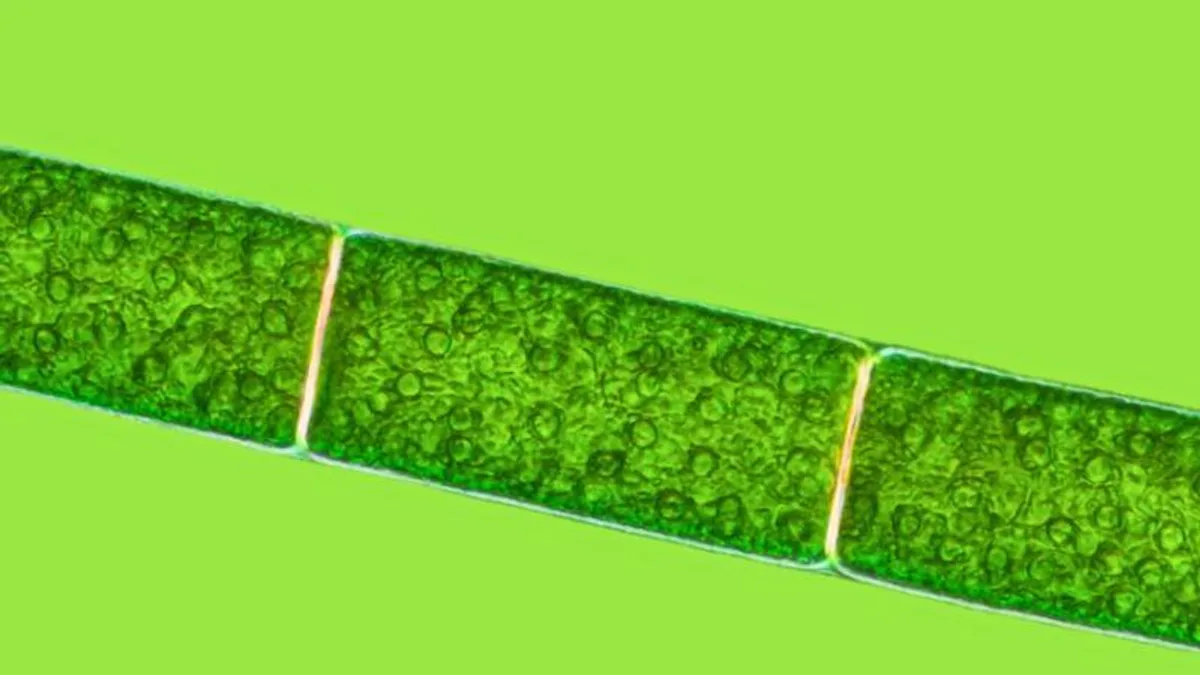 倒班后身体倦怠：如何设计低能量休息日的‘锚点’相关心理健康场景