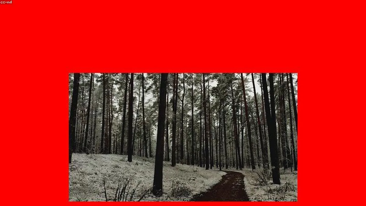 职场动荡心慌？三步建立内心可控锚点相关心理健康场景