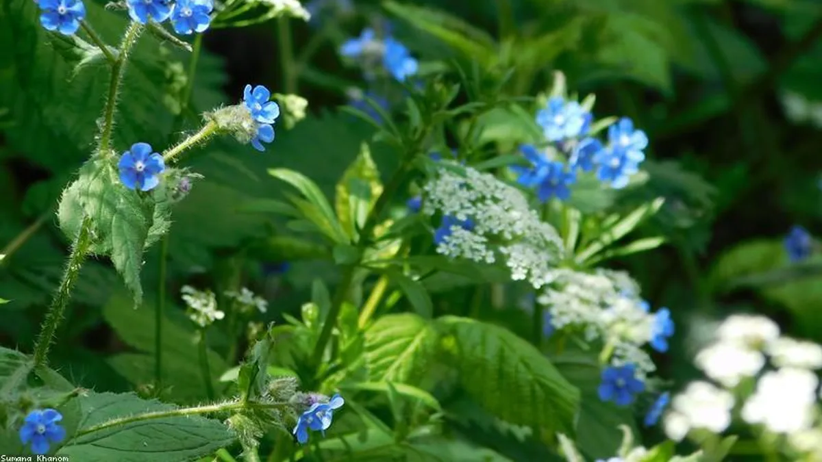 收到负面反馈后大脑宕机？启动旁观者视角冷静术相关心理健康场景