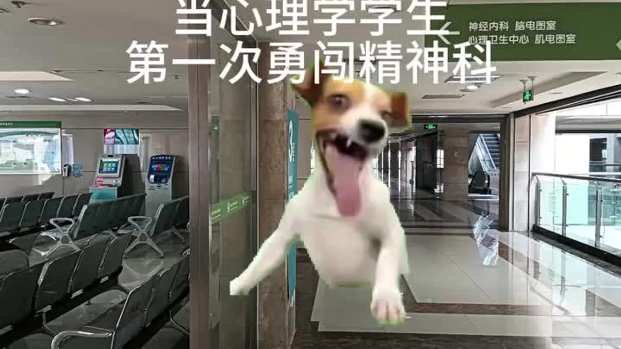 当心理学学生第一次到精神科视频封面