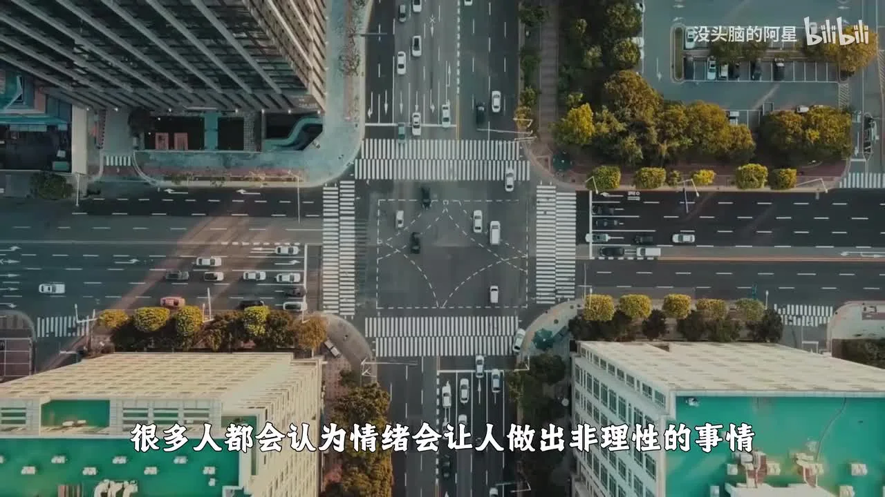 为何情绪越控制人生越毁灭？一口气讲完情绪的本质视频封面