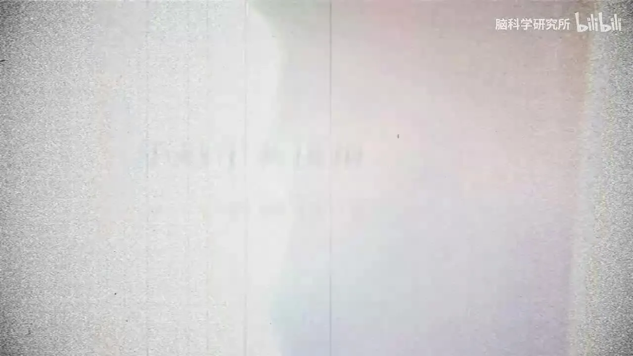 永远不要接话，要接情绪，接住情绪：让关系不再沉默视频封面